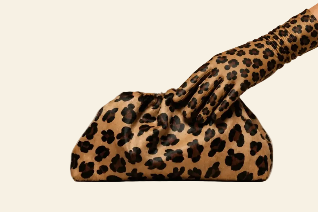 The Paris Leopardo